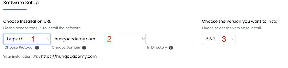 Chọn têm miền vài cài đặt wordpress 